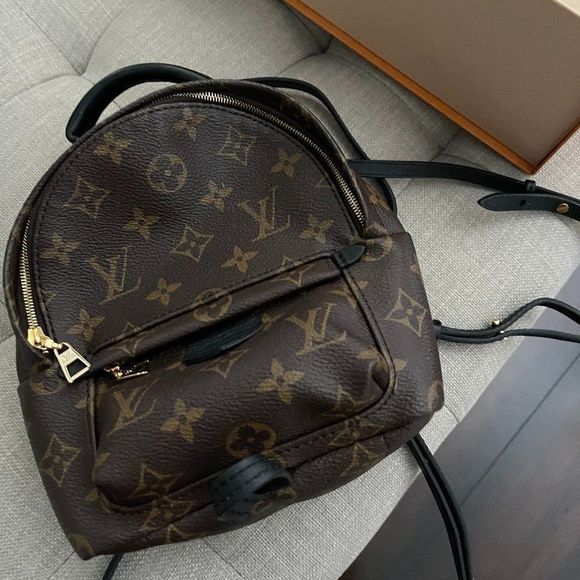 Louis Vuitton Handbags - Louis Vuitton Palm Springs backpack